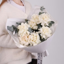 francuzskaya belaya roza 4